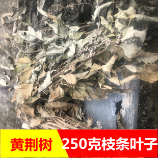 新鲜实拍新货晒干黄荆树枝条叶子干货250克包邮乡村采摘 发货包邮