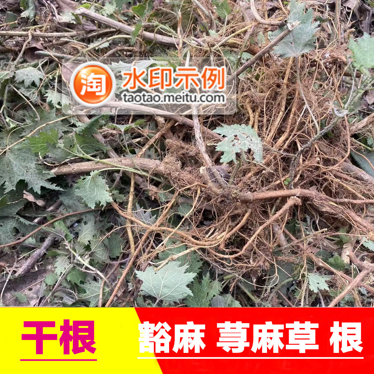新鲜荨麻叶干品晒干泡茶50克包邮农村自己家采摘绿色天然无硫包邮