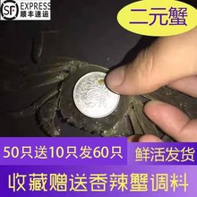 50只送10只鲜活两二元蟹小螃蟹河蟹大小闸蟹六月黄香辣蟹公母包邮