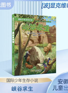国际少年生存小说峡谷求生