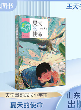 天宁哥哥成长小宇宙夏天的使命