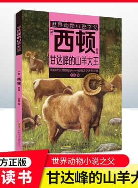 甘达峰的山羊大王安徽少年儿童