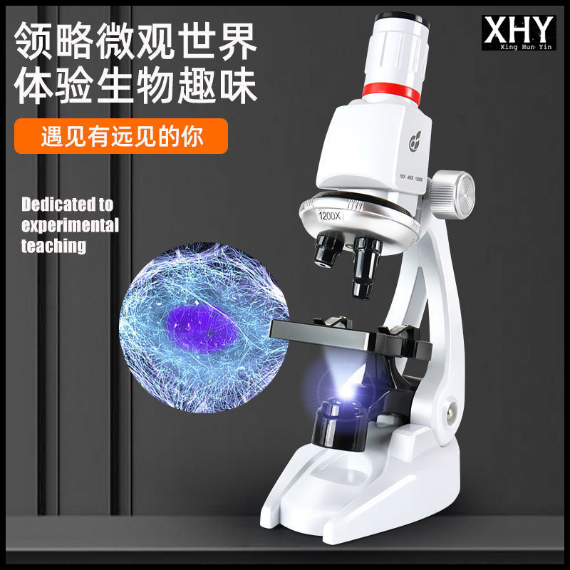1200X台式显微镜观察研究微生物