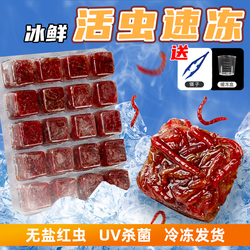 冷冻丰年虾冰冻红线虫鱼虫热带鱼金鱼六角恐龙鱼粮血虫赤虫饲料