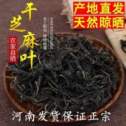 芝麻叶2025年新货农家晒制芝麻叶芝麻叶新鲜嫩叶河南芝麻叶商用