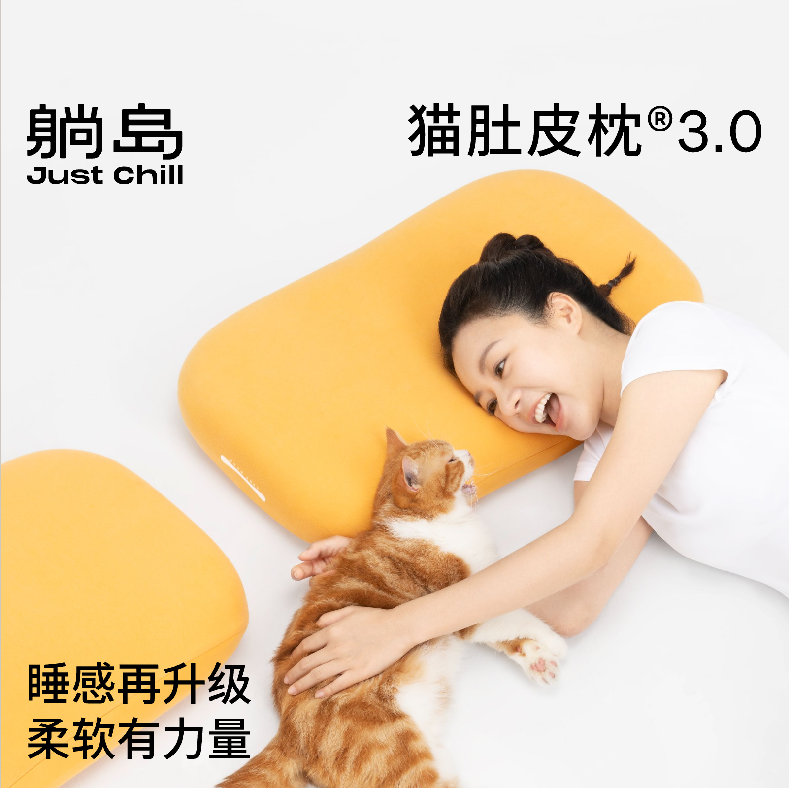 躺岛猫肚皮枕3记忆棉枕头芯一对护颈椎助睡眠成人家用情侣双人枕
