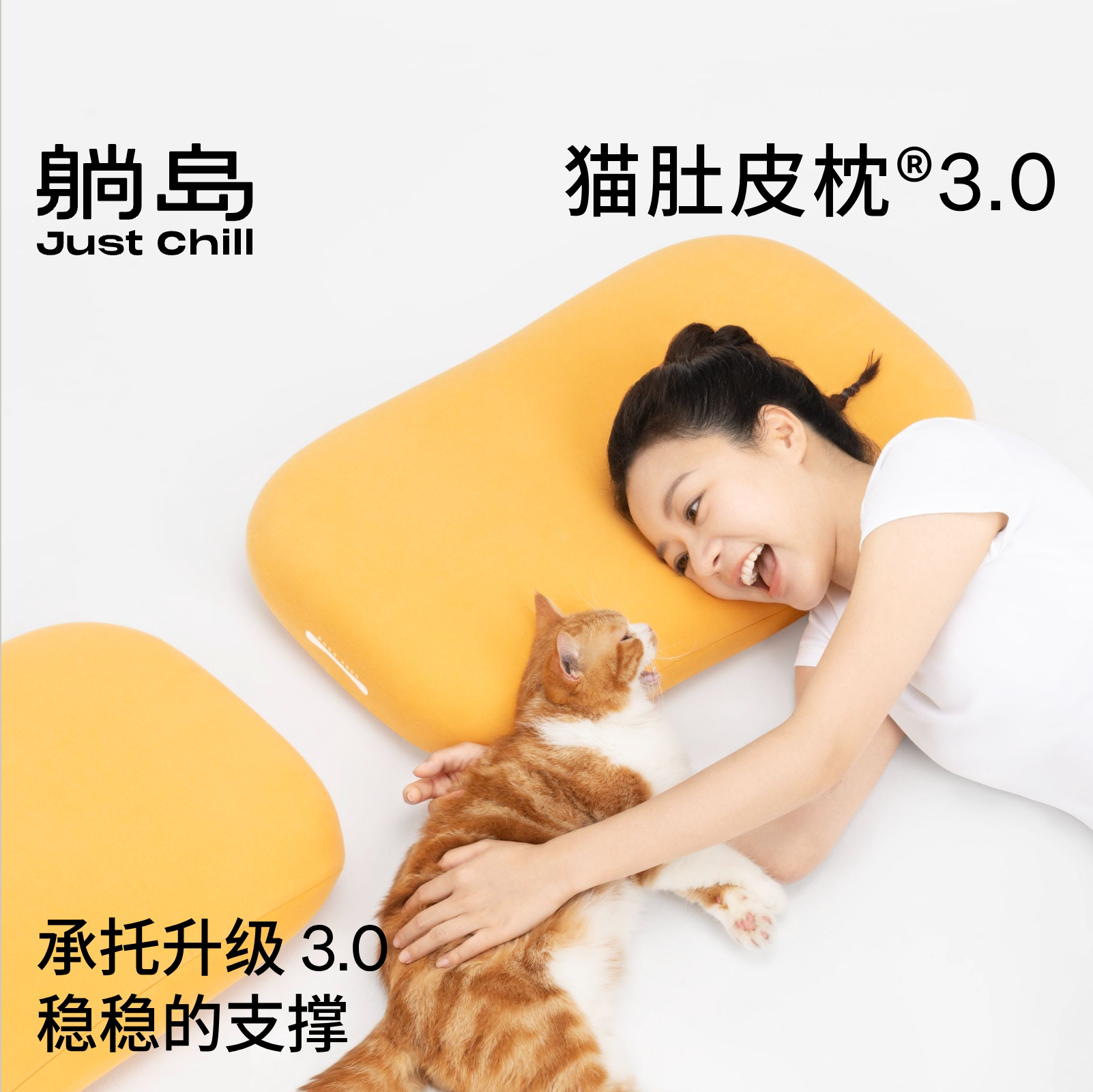 躺岛猫肚皮枕3.0护颈椎侧睡深睡枕头枕芯成人记忆棉睡眠枕头送礼
