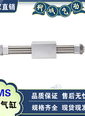 亚德客型RMS无杆气缸RMS10/16/20/25/32/40X100X200X300X400X500S
