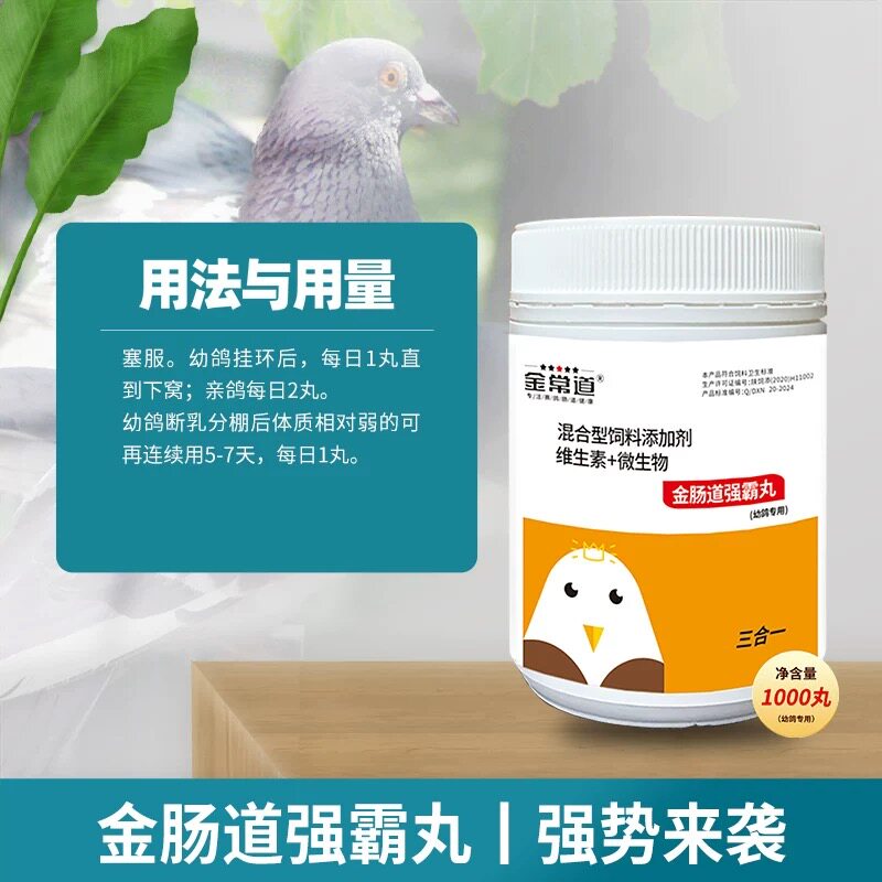 金肠道强BA丸赛鸽信鸽调理肠道增强免疫力
