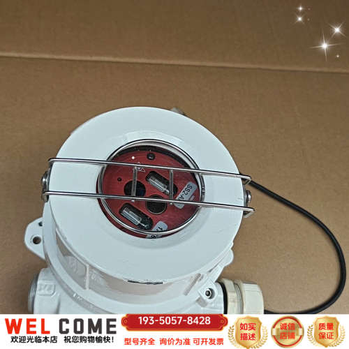 Fire Sentry SS2火焰探测器，，详谈报价
