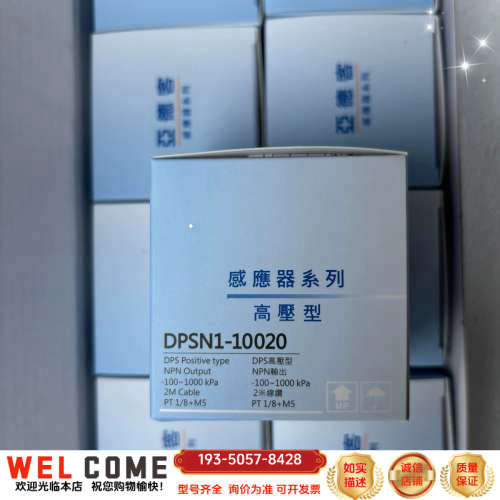 数显压力表DPSN1-10020，-100~1000K详谈报价