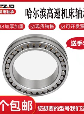 哈尔滨双列圆柱滚子机床轴承NN3048 3052 3056 3060K/W33P5 P4 C0