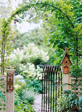 简易铁线莲植物葡萄拱门爬藤架蔷薇月季园艺拱形攀爬花架支架铁艺
