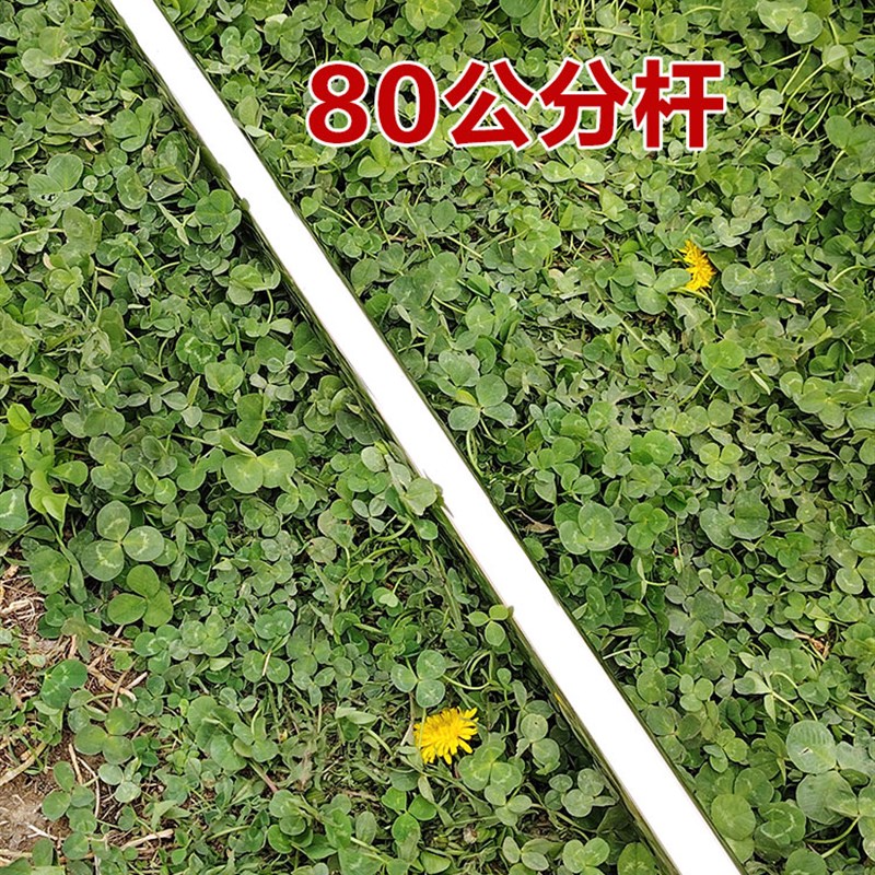 天幕支撑杆收纳袋伸缩不锈钢加粗加长帐篷杆支撑杆配件连接件可调图片
