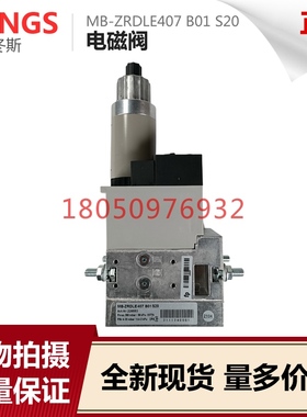 DUNGS冬斯MB-ZRDLE410 412 415 B420B01S20燃气阀组MB-ZRDLE407S5