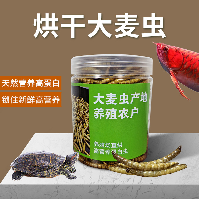 大麦虫面包虫烘干仓鼠粮金银龙鱼零食鹦鹉招财罗汉鱼宠物食物饲料