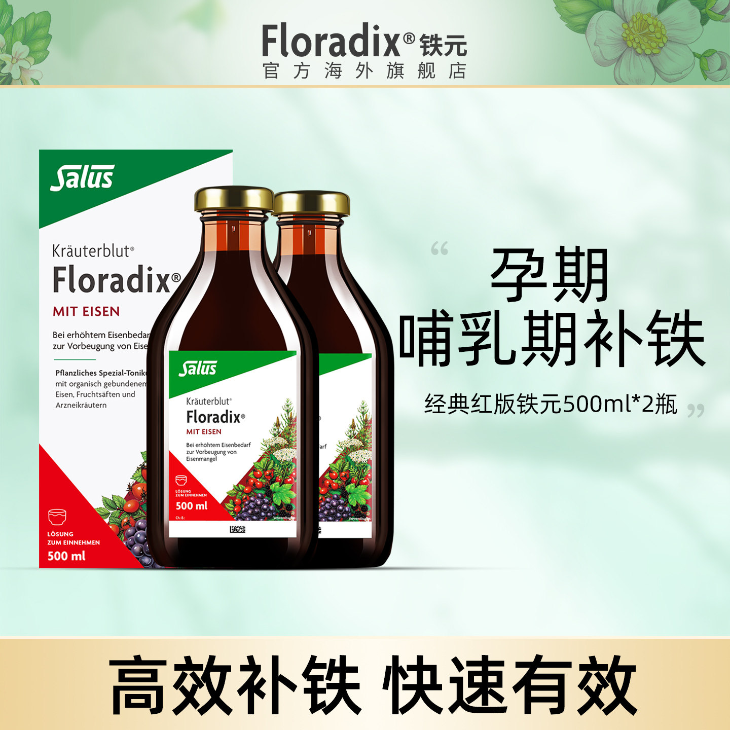 Floradix 德国铁元孕妇孕期补铁铁剂女性气血口服液铁元素500ml*2