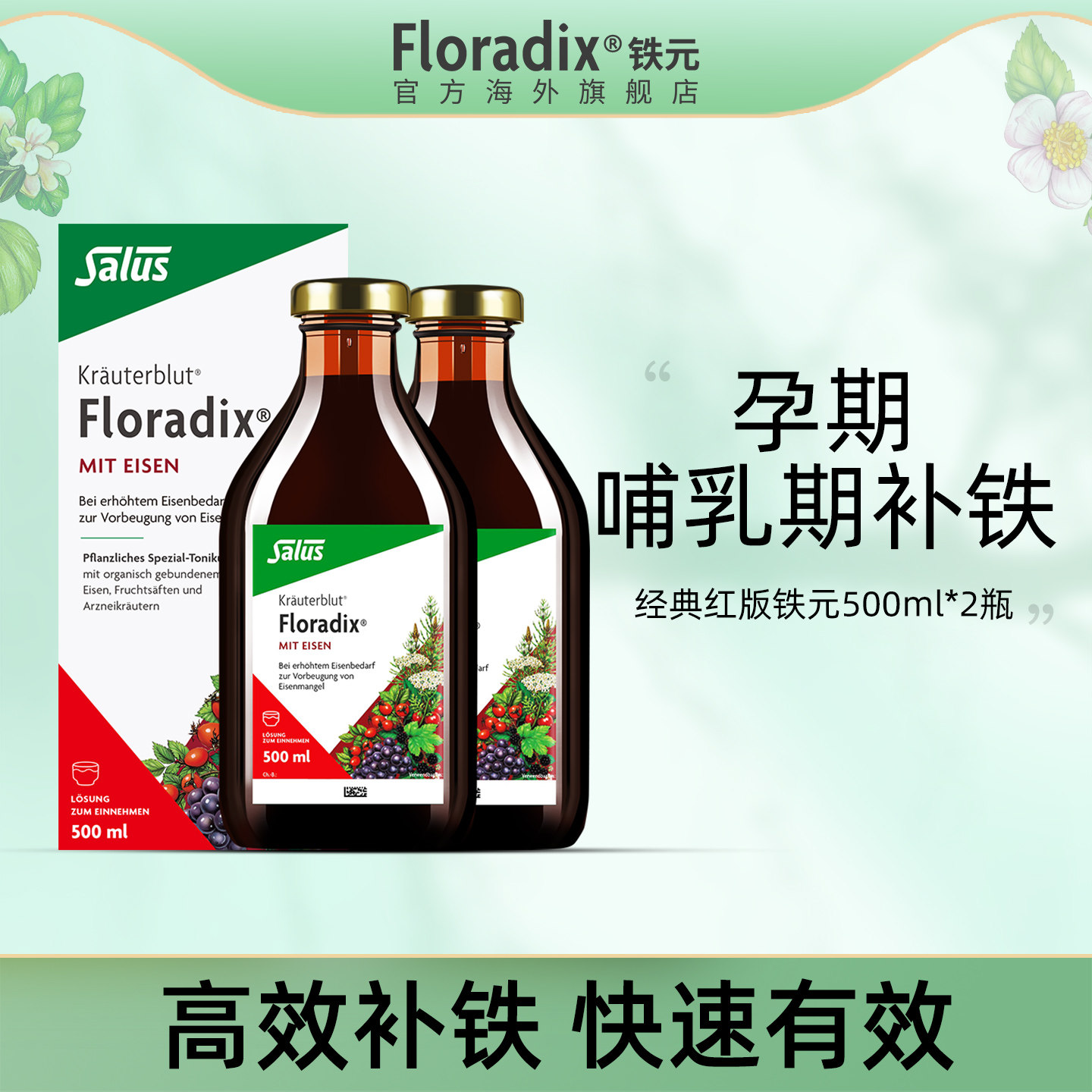 Floradix 德国铁元孕妇孕期补铁铁剂女性气血口服液铁元素500ml*2