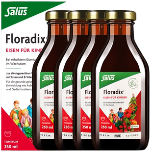 Floradix 德国儿童铁元青少年补铁调气养血血亏促记忆250ml*4