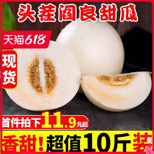 2021年最新款爆甜山东精品甜瓜黄河蜜瓜香哈密瓜当季新鲜水果阎良