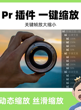 Pr插件动态缩放关键帧一键放大缩小预设相机丝滑变焦Zoom Presets