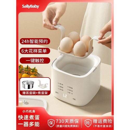 包邮德国2025新款煮蛋器家用宿舍小型多功能煮鸡蛋定时预约蒸