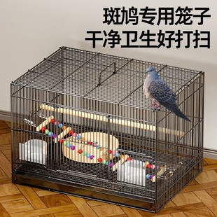 斑鸠笼子专用养窝笼子超大繁殖鸟笼的号家养笼子养殖斑鸠活鸟斑鸠
