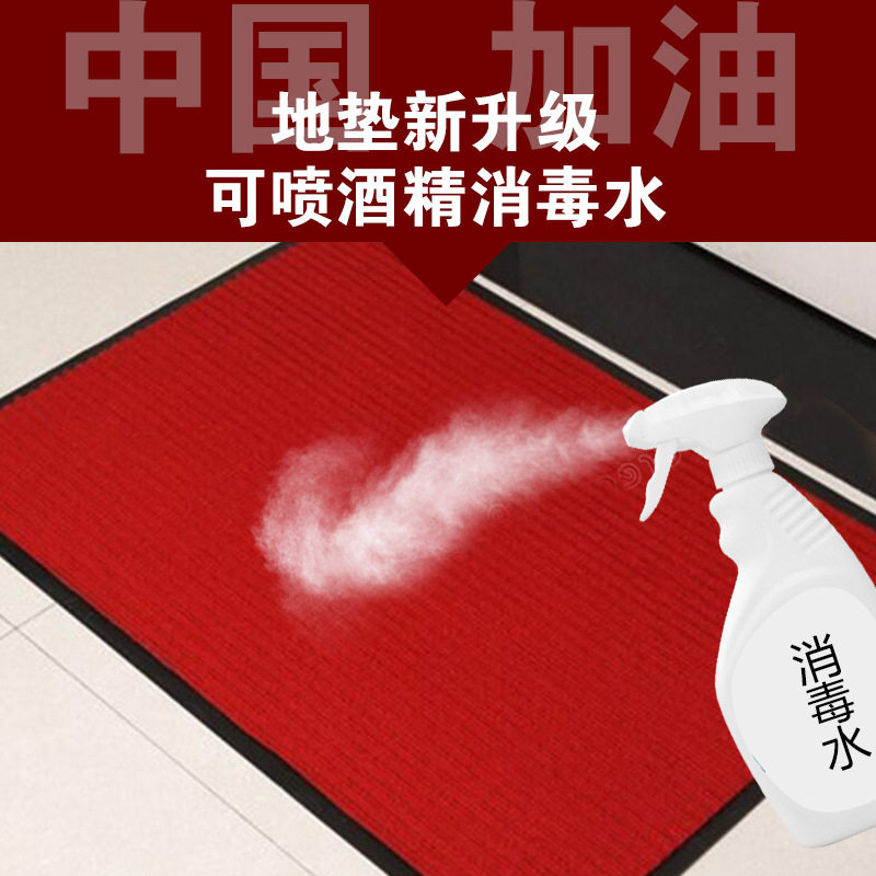 大门口入户进门地垫门垫蹭泥防滑脚垫浴室地毯双条纹玄关垫子包邮