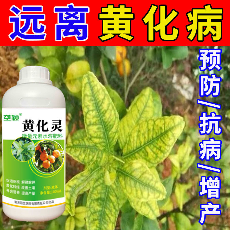 li[黄化一喷灵]柑橘黄化病专用药黄龙叶斑黄叶落花落果全治进口农