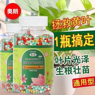 lI花卉绿植通用控释肥长效温和颗粒缓释肥花肥绿萝蔬菜营养万能肥