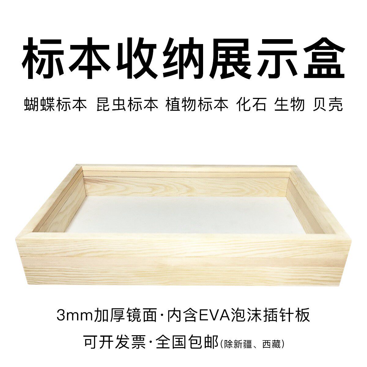 标本插针盒松木实木蝴蝶昆虫玻璃标本框diy手工植物存放盒展示盒