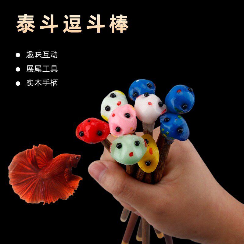 斗鱼棒子泰国斗鱼棒逗鱼棒手工制作玩具展尾互动小工半月狮王马尾