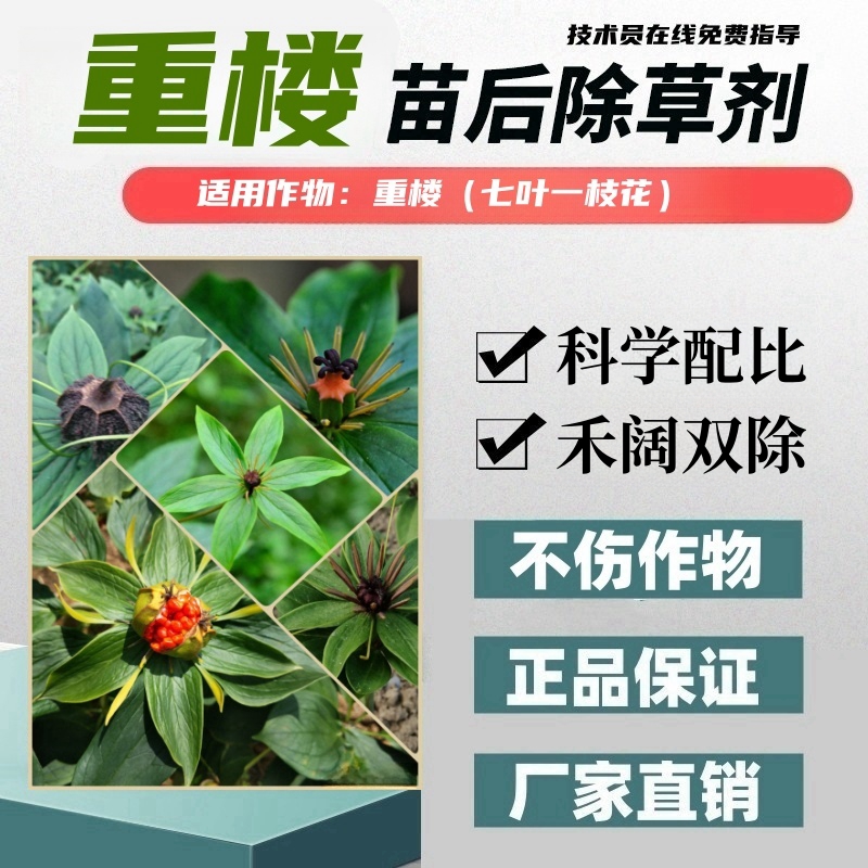 重楼七叶一枝花除草剂禾阔双除图片