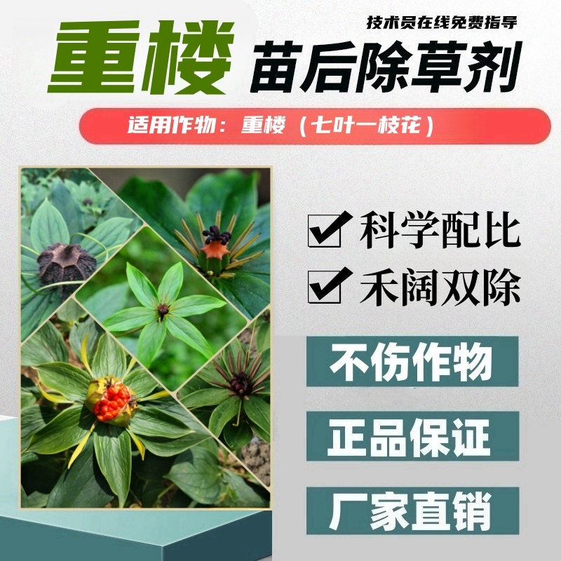 重楼七叶一枝花除草剂禾阔双除