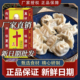 正宗老牌子十三味料香料45g调味料卤粉料调料拌馅调味品批发整箱