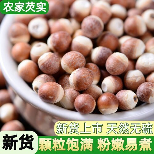 干货芡实山东微山湖芡实干货新鲜农家自产北方欠实新货茨实鸡头米