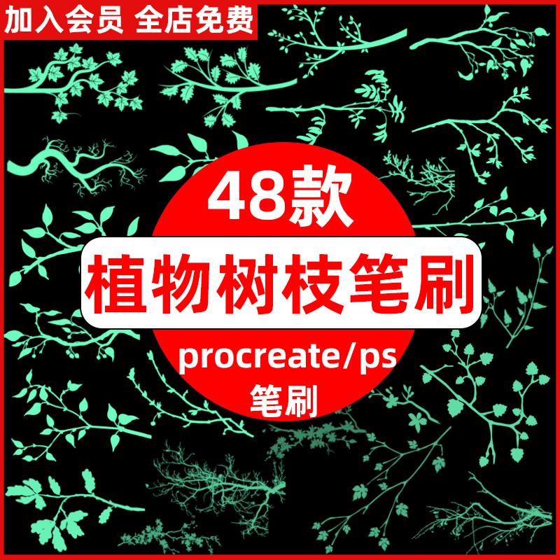 植物树叶树枝叶子枝条装饰图案插画绘画素材procreate笔刷ps笔刷图片