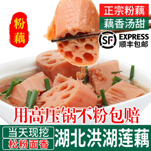 正宗洪湖莲藕煲汤粉藕野生现挖