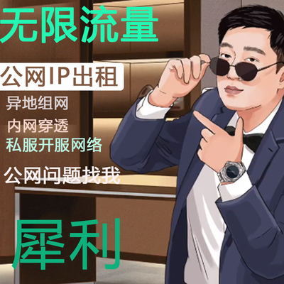 公网IP出租用服务器搭建花生壳远程桌面异地组网端口映射服主云