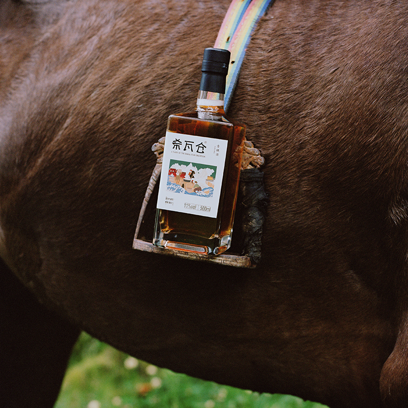 高海拔青稞酒藏族传统青稞低度酒