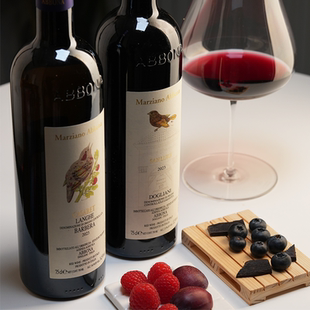 新鲜覆盆子西梅意大利宝纳马斯亚诺朗格卡沙巴贝拉干红助眠红酒