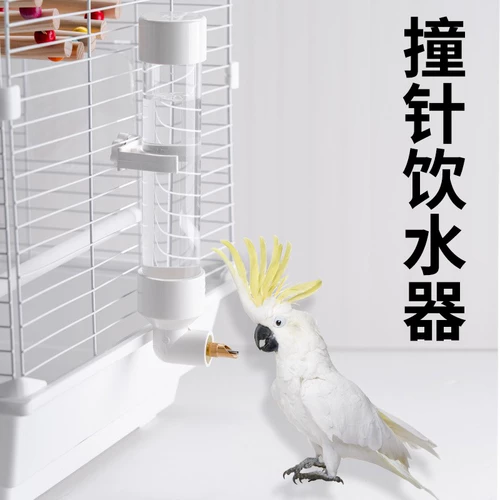 Птичья питьевая водонагреватель попугай.