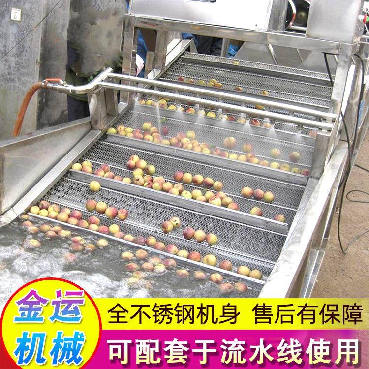多功能气泡清洗机 香菜小香葱喷淋式清洗机 果蔬臭氧大型洗菜机