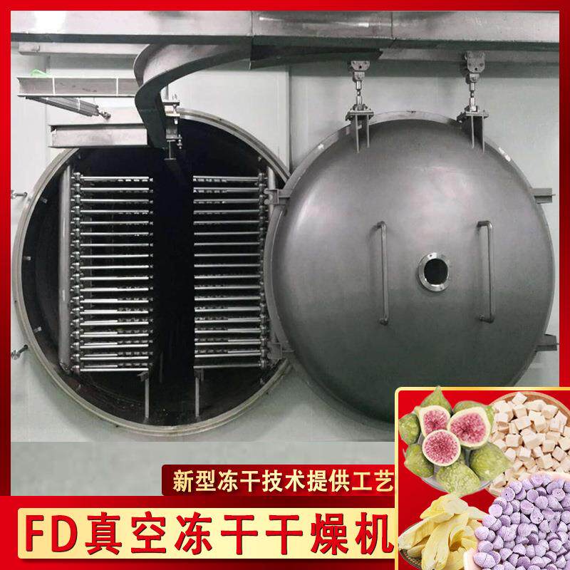 低温真空冻干芒果 孕婴食品FD冻干水果脆设备 蓝莓食品冻干干燥机
