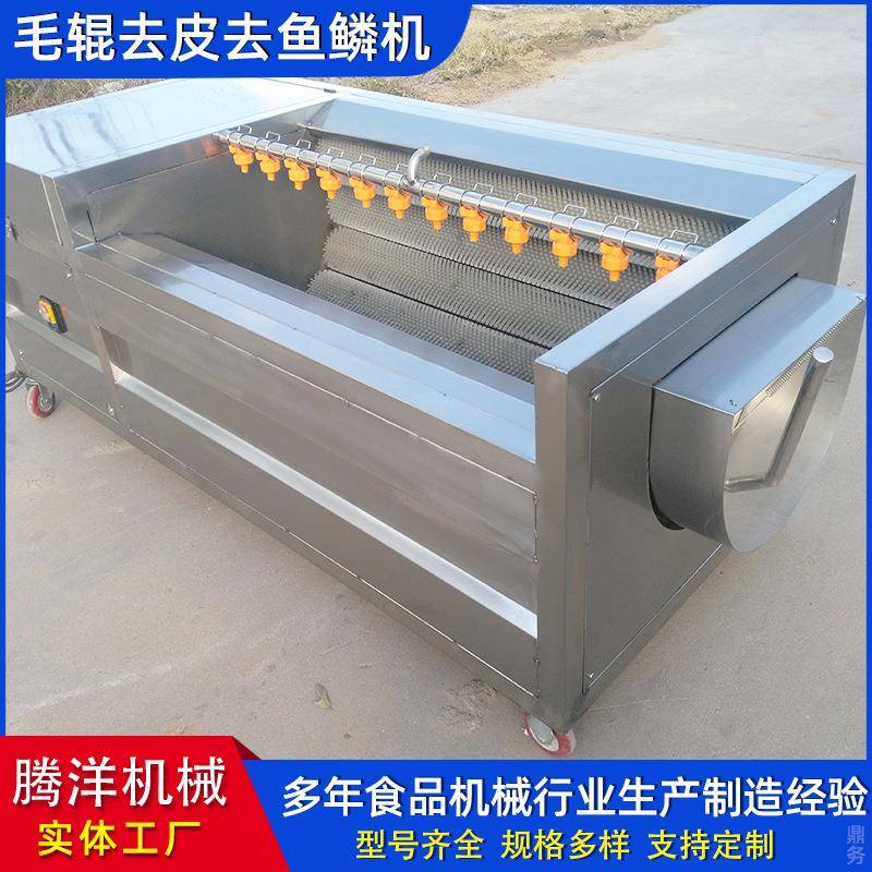 海虹毛辊清洗机 蛤蜊去泥喷淋去杂流水线海蛎子海鲜 海螺去沙机器