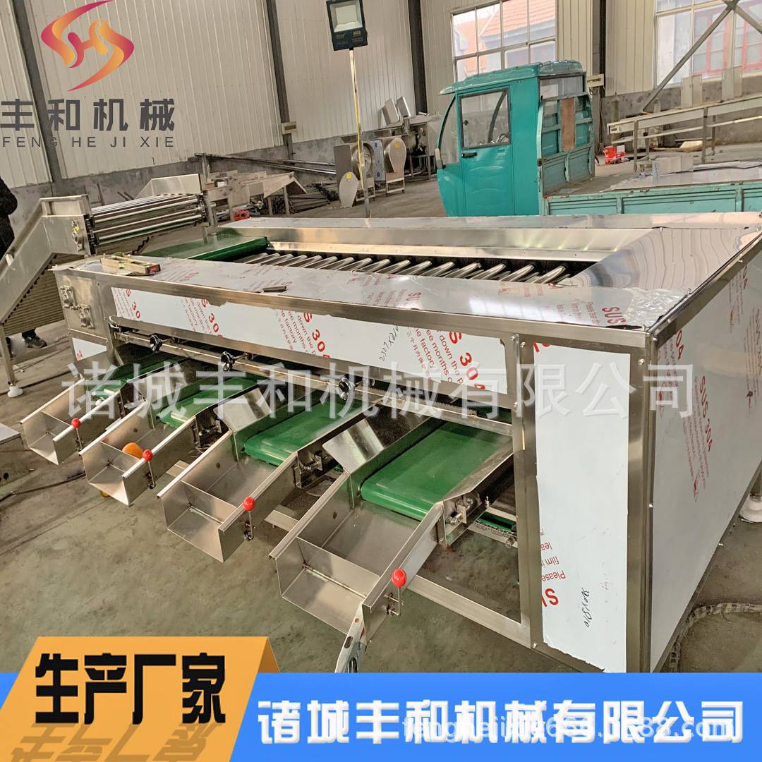 黄柠檬大小分级机 黄杏黄桃分选机 桂味荔枝分级机 水果分选设备