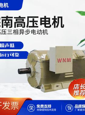 Y2系列高压三相异步电动机185w160w全铜线圈厂家直发