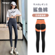 收腹提臀薄款 秋冬季 瑜伽紧身黑色 女外穿打底裤 日本TPXC鲨鱼裤