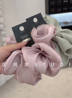 韩国发饰2024新款气质优雅简约高级精致粉紫色绿色珠光发圈大肠圈