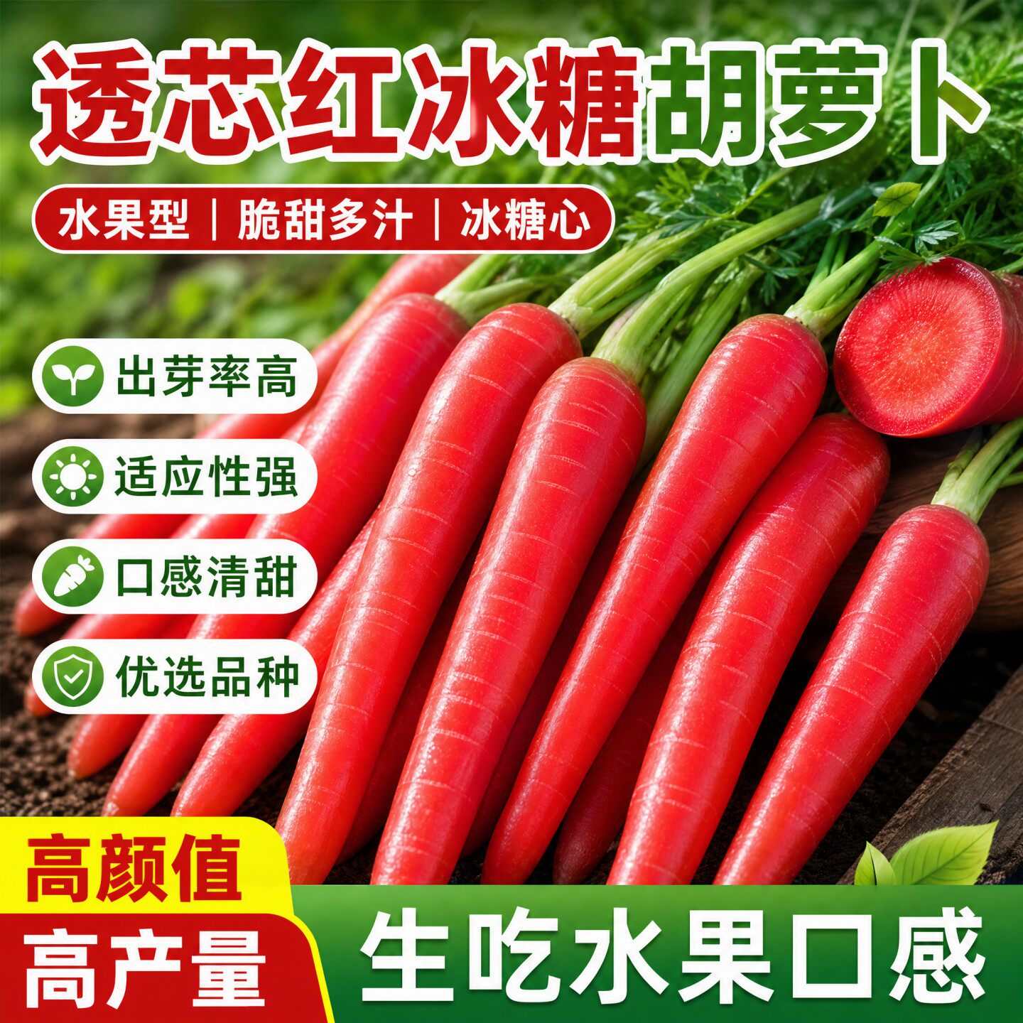 透心红水果胡萝卜种子生吃甜脆胡萝卜种籽四季播阳台盆栽蔬菜种子